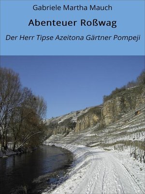 cover image of Abenteuer Roßwag